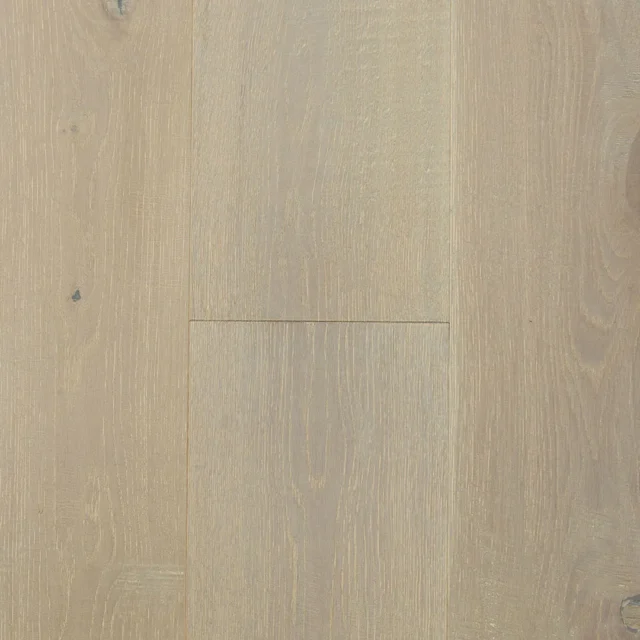 科爾特斯 Cortez