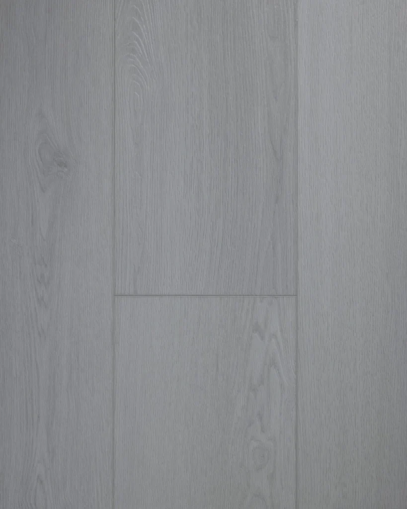查爾斯頓 VSPC9CT