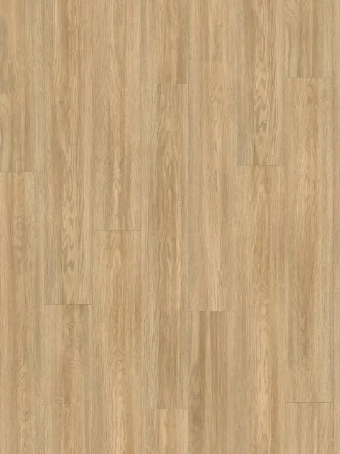 索里亞原橡 EL2064