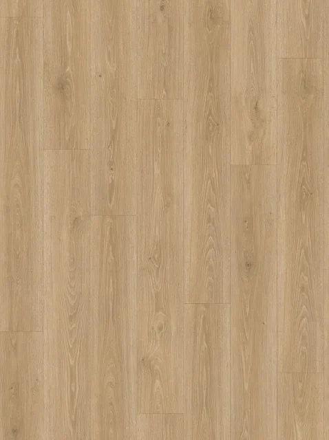 特雷維索自然橡木 EL2181