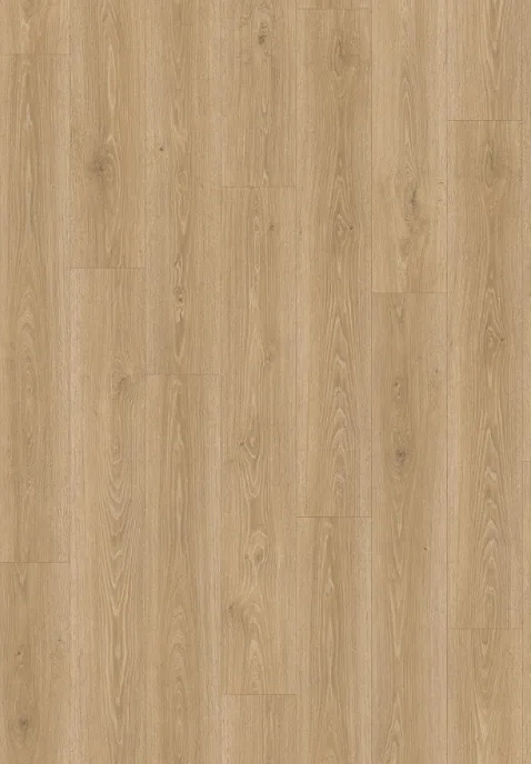 特雷維索自然橡木 EL2181