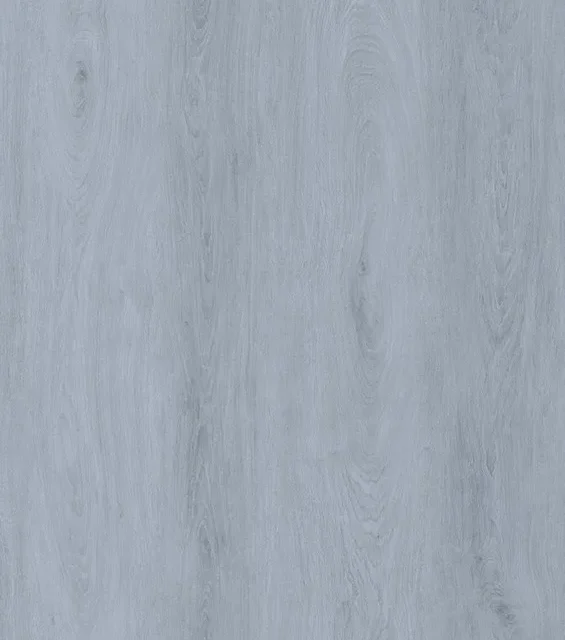 N51513