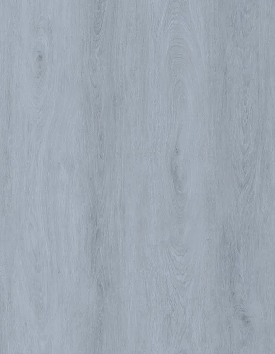 N51513
