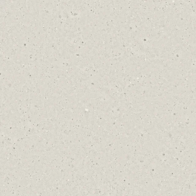 N51562