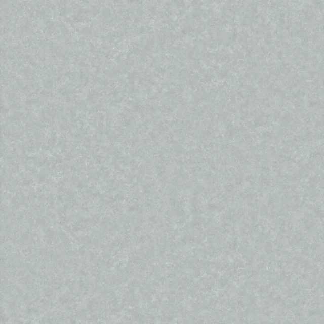 N51565