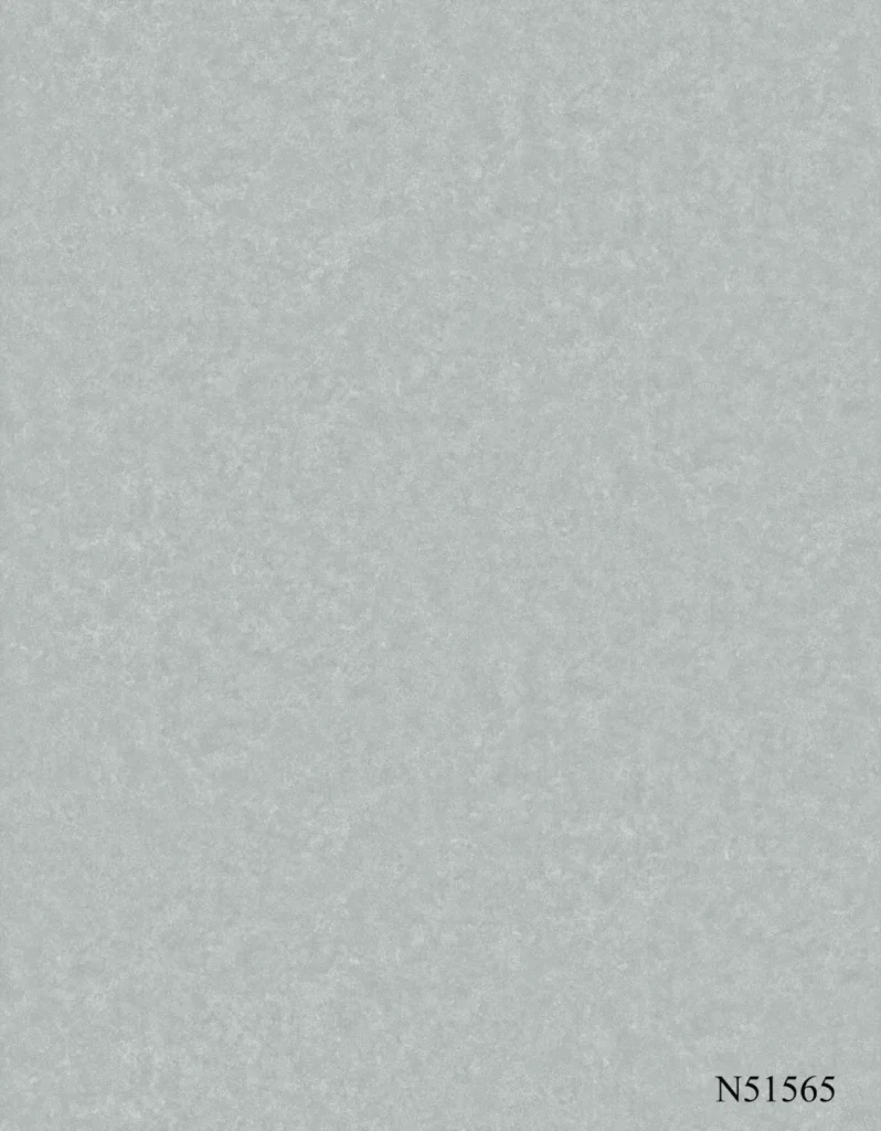 N51565