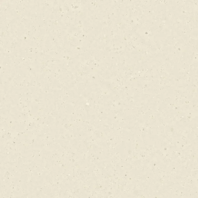 N51566