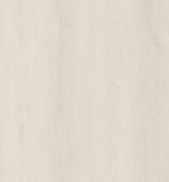 S86202
