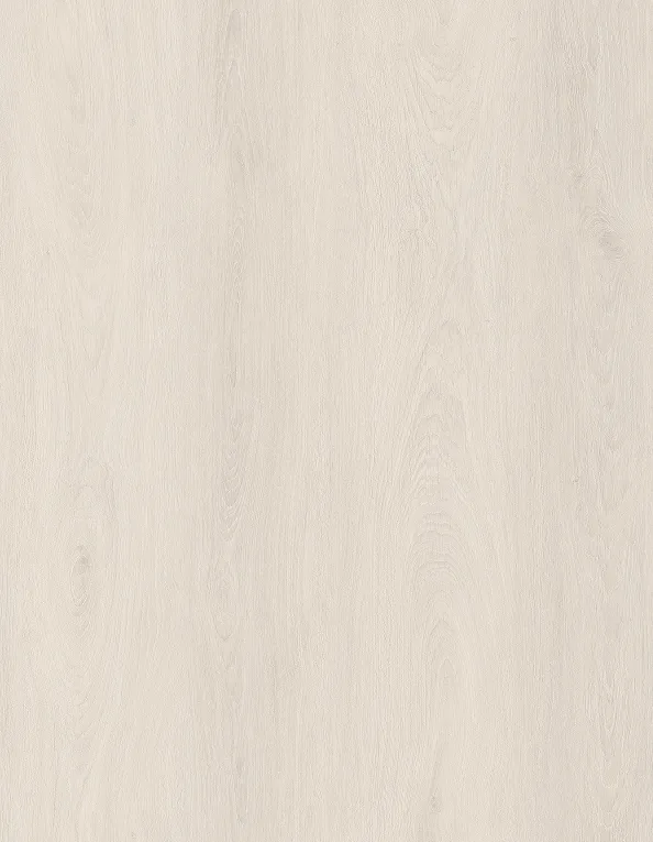 S86202