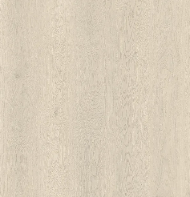 S86205