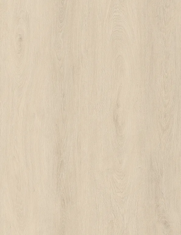S86206